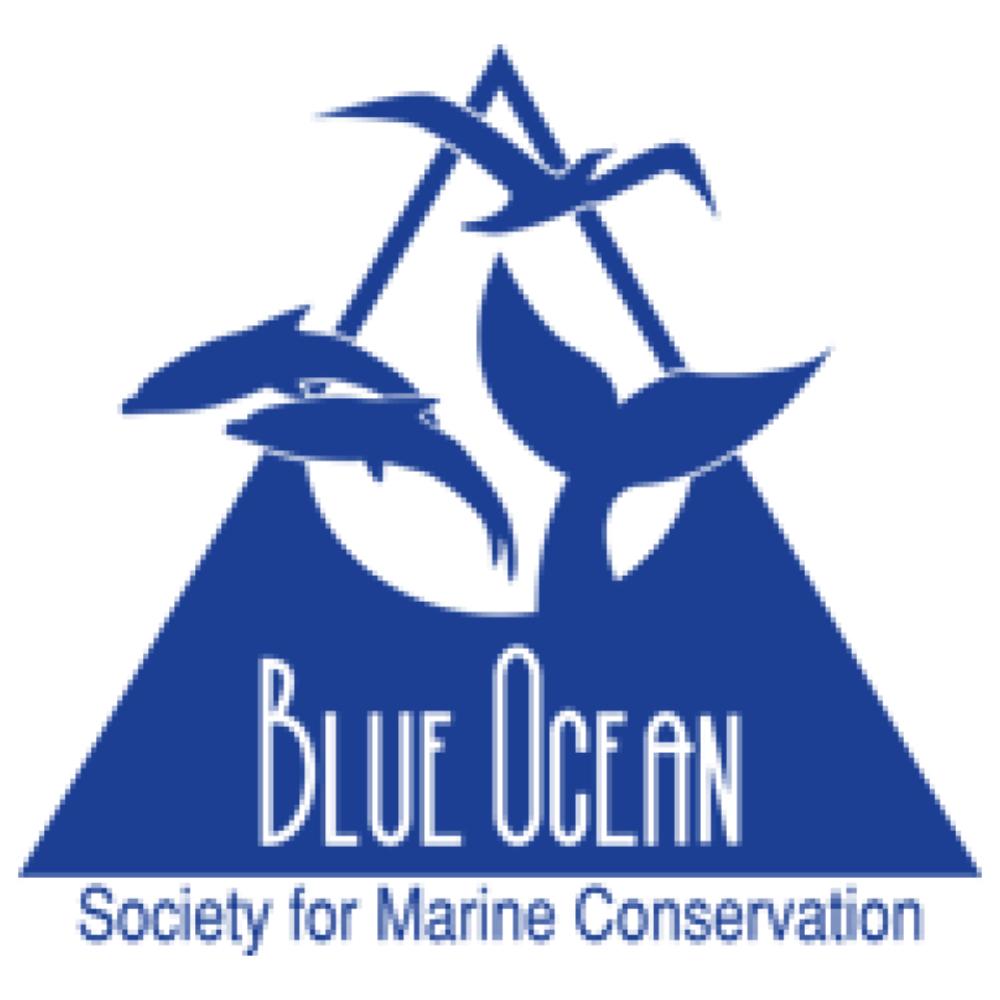 logo10300.jpg