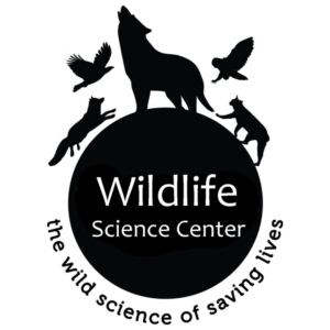 logo10404.jpg