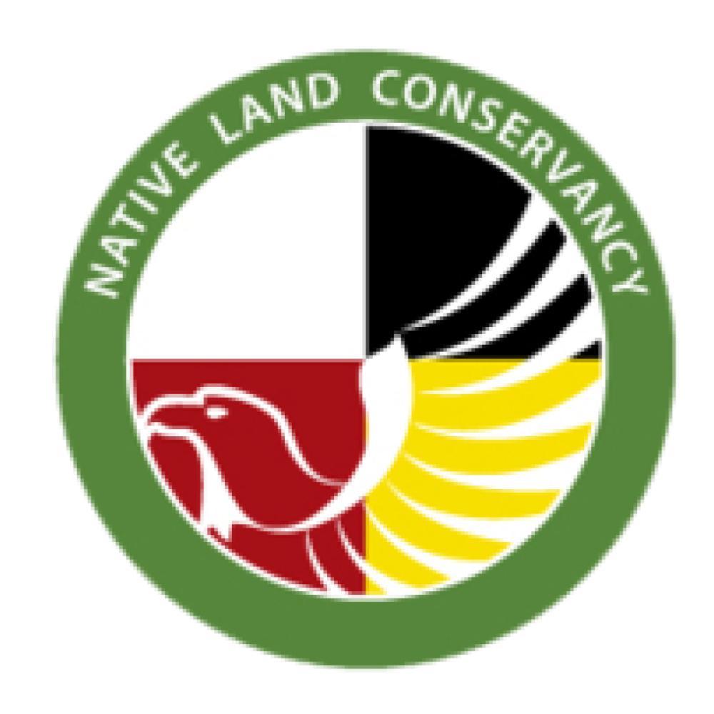 logo10564.jpg