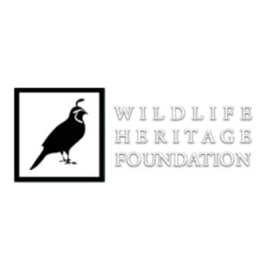 logo10839.jpg