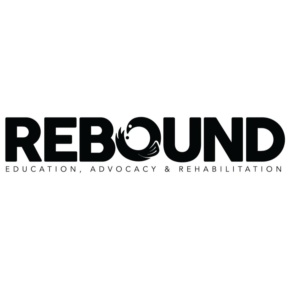 logo13716.jpg