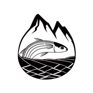 logo222.jpg