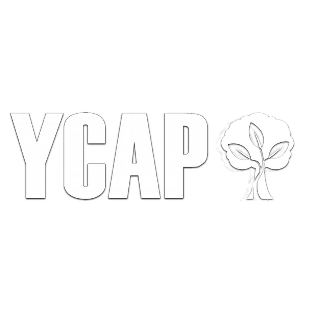 logo3239.jpg
