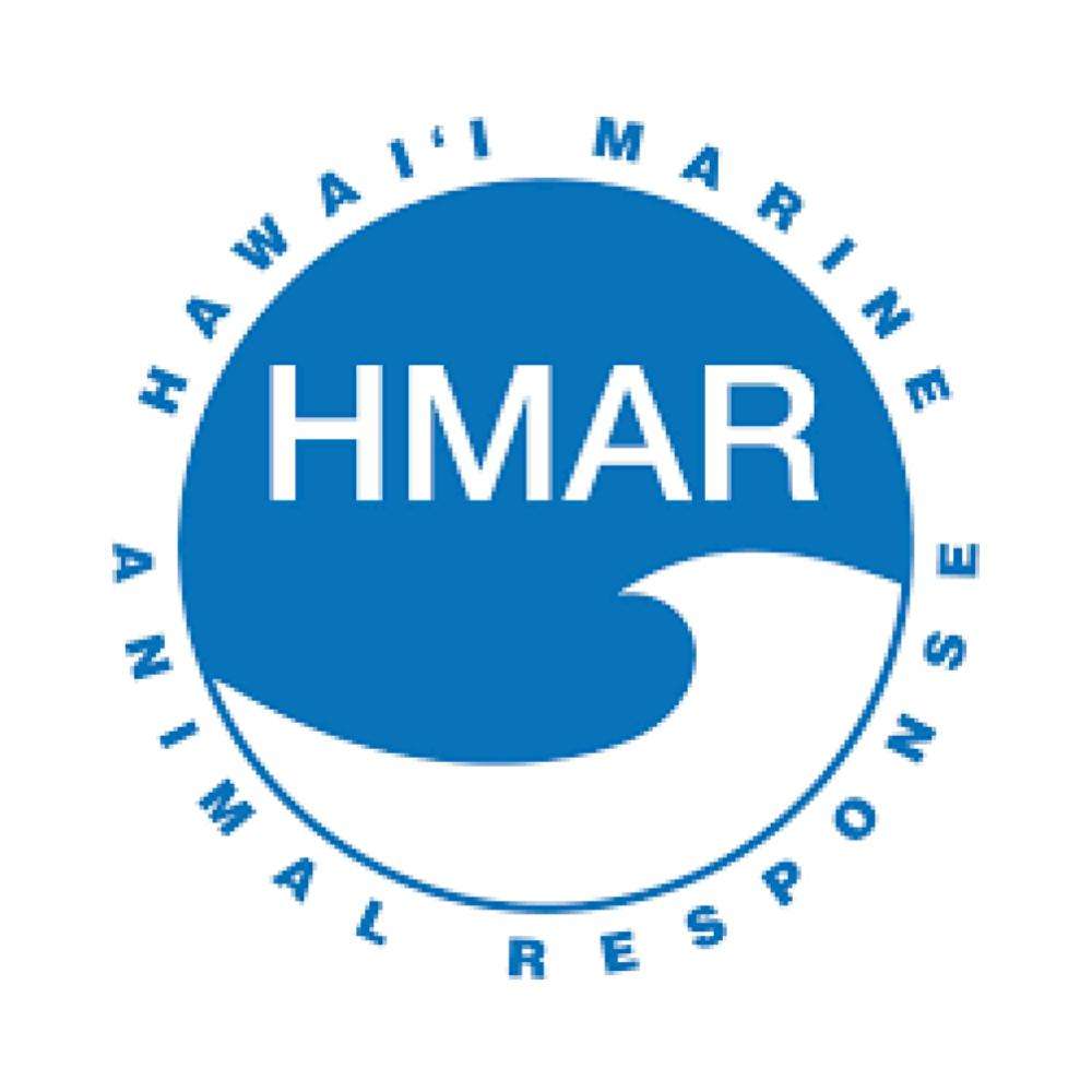 logo3911.jpg