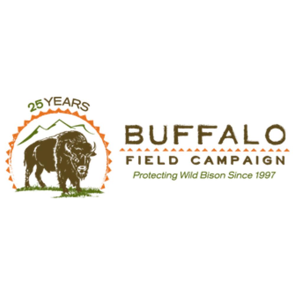 logo4207.jpg