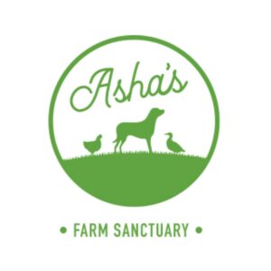 logo4311.jpg