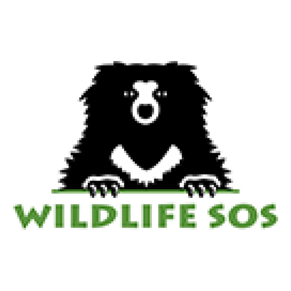 logo4690.jpg