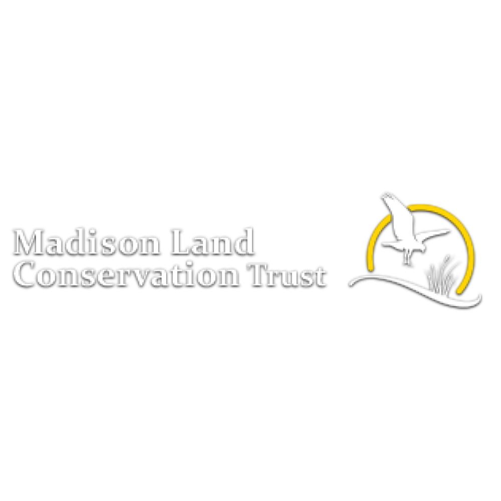 logo5133.jpg