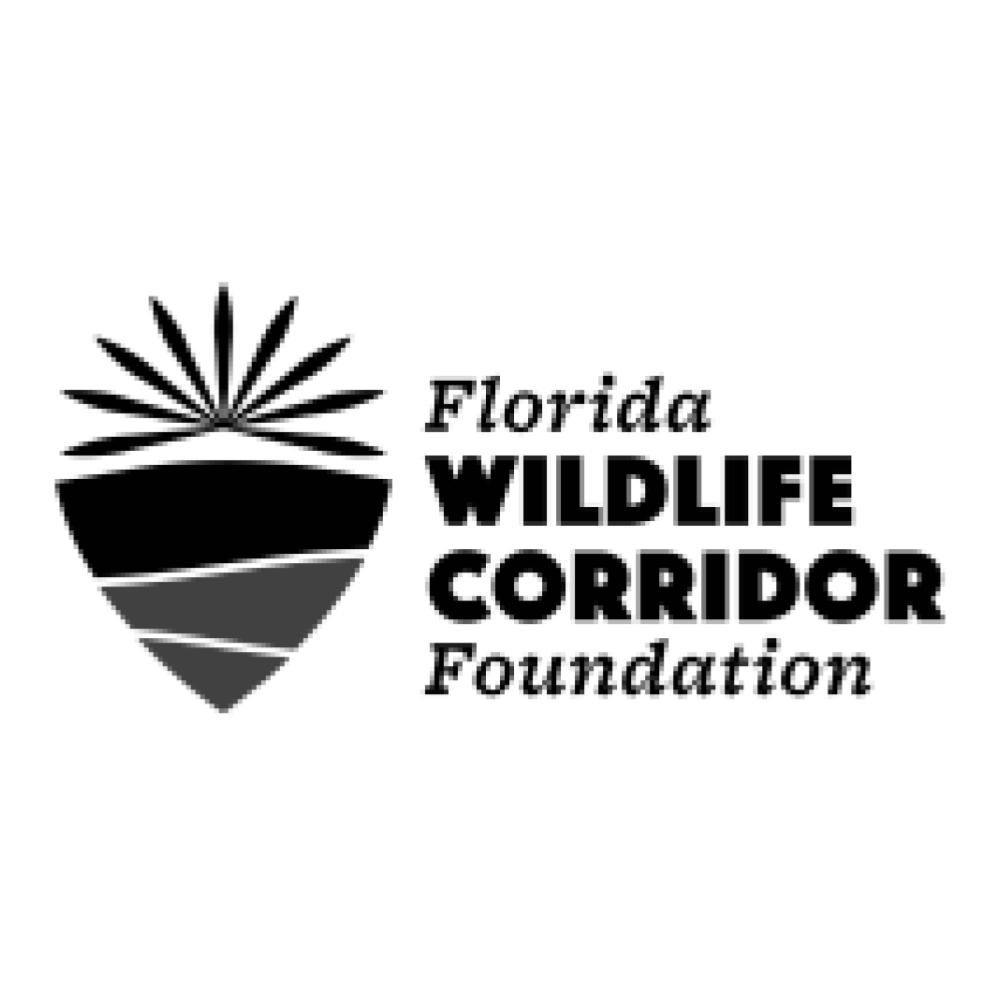 logo5179.jpg