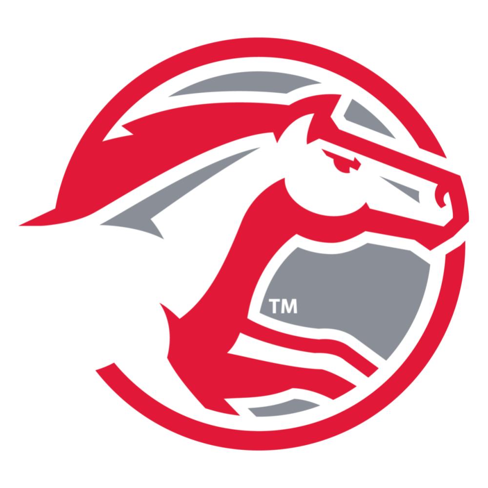 logo5253.jpg