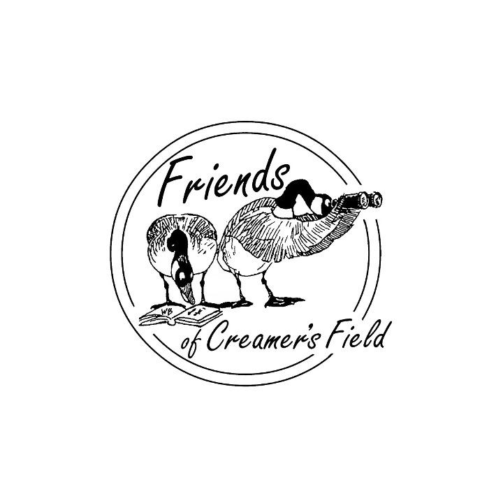 logo8074.jpg