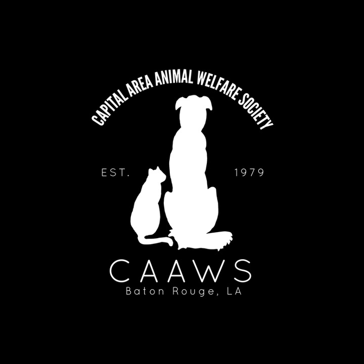 logo8240.jpg