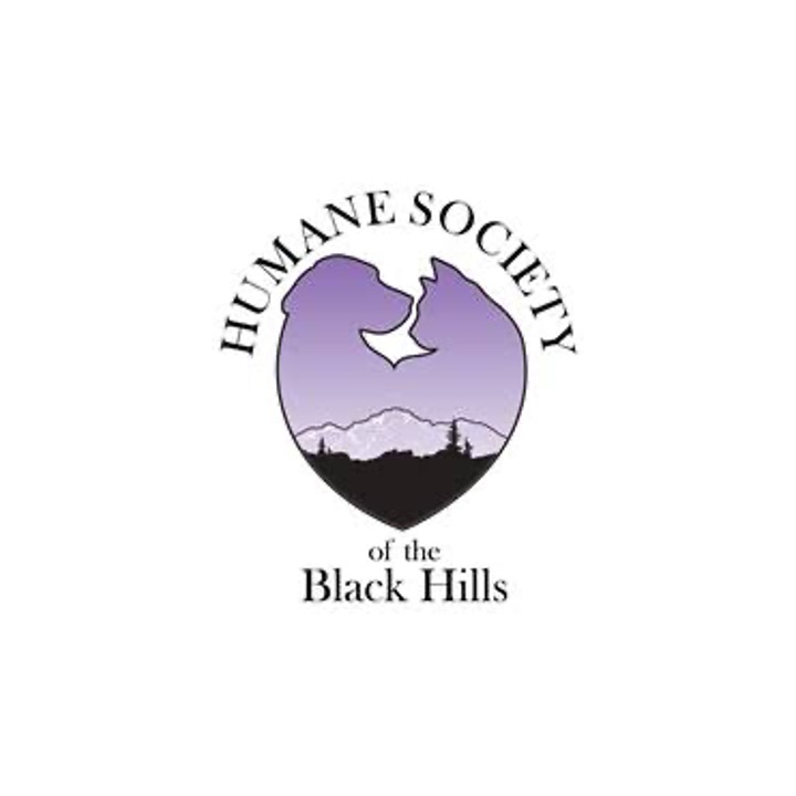 logo8481.jpg