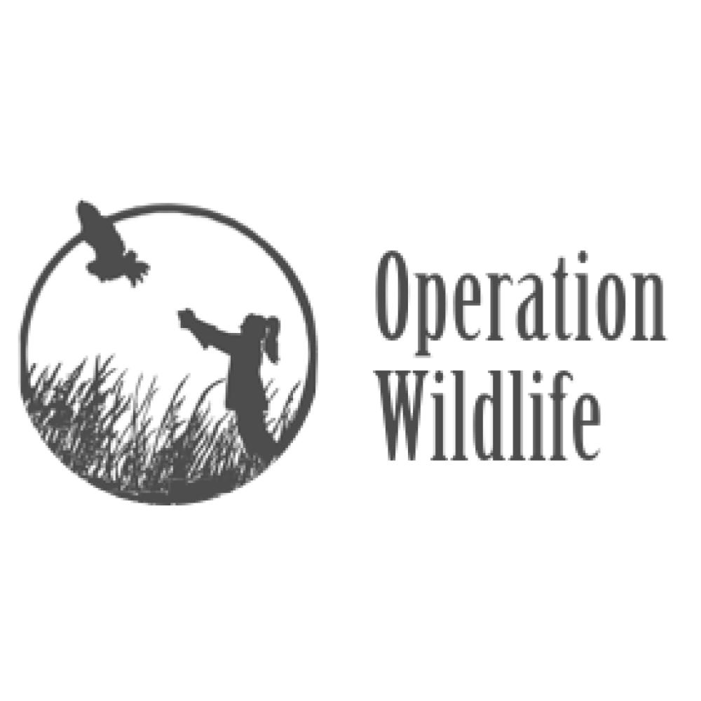 logo9340.jpg