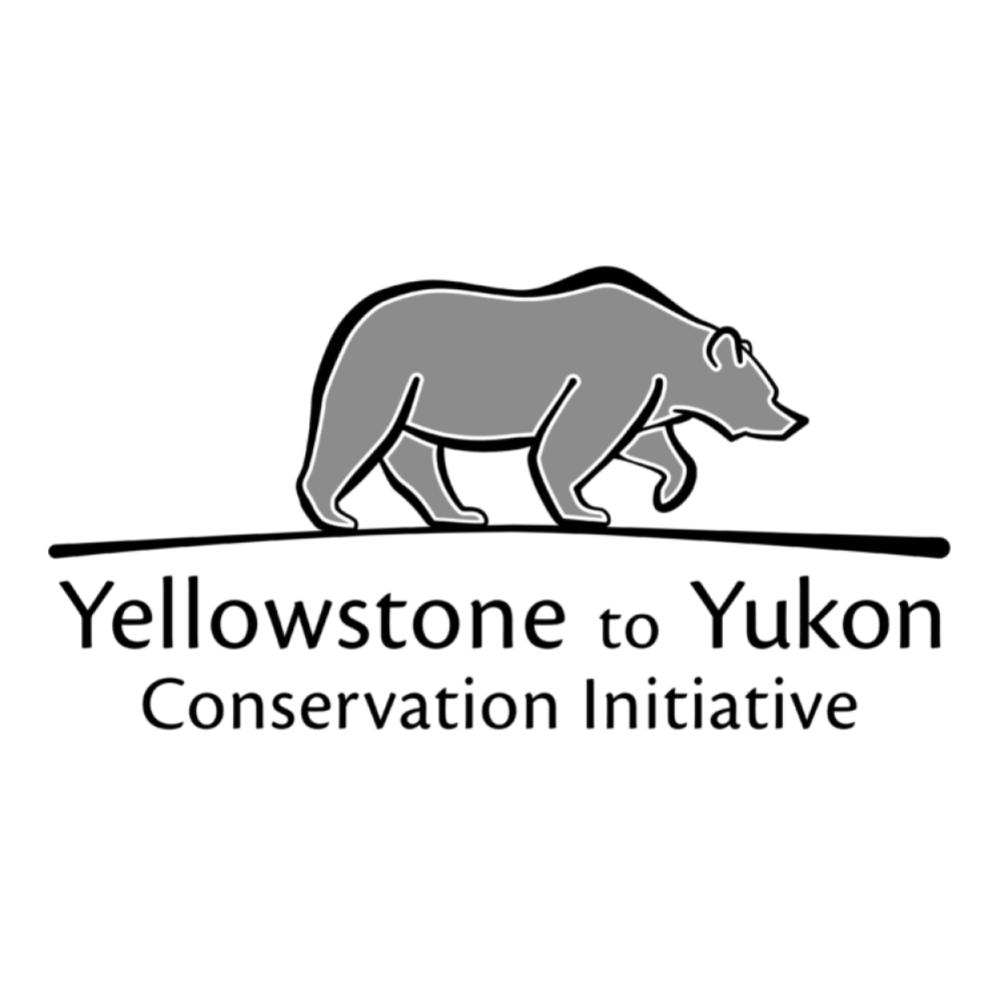 Yellowstone to Yukon Conservation Initiative - Animals, Environment ...