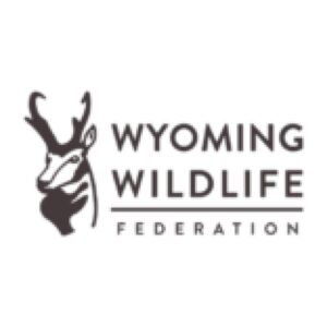 logo9807.jpg