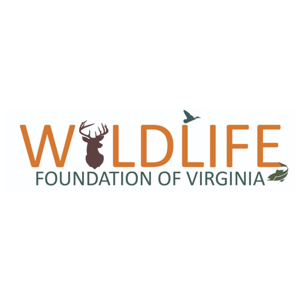 logo9923.jpg